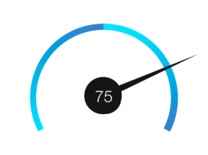 Net Promoter Score 75